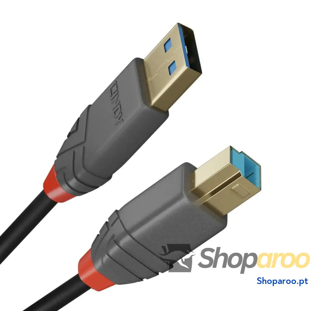 Cabo USB A para USB B LINDY 36740 50 cm Preto