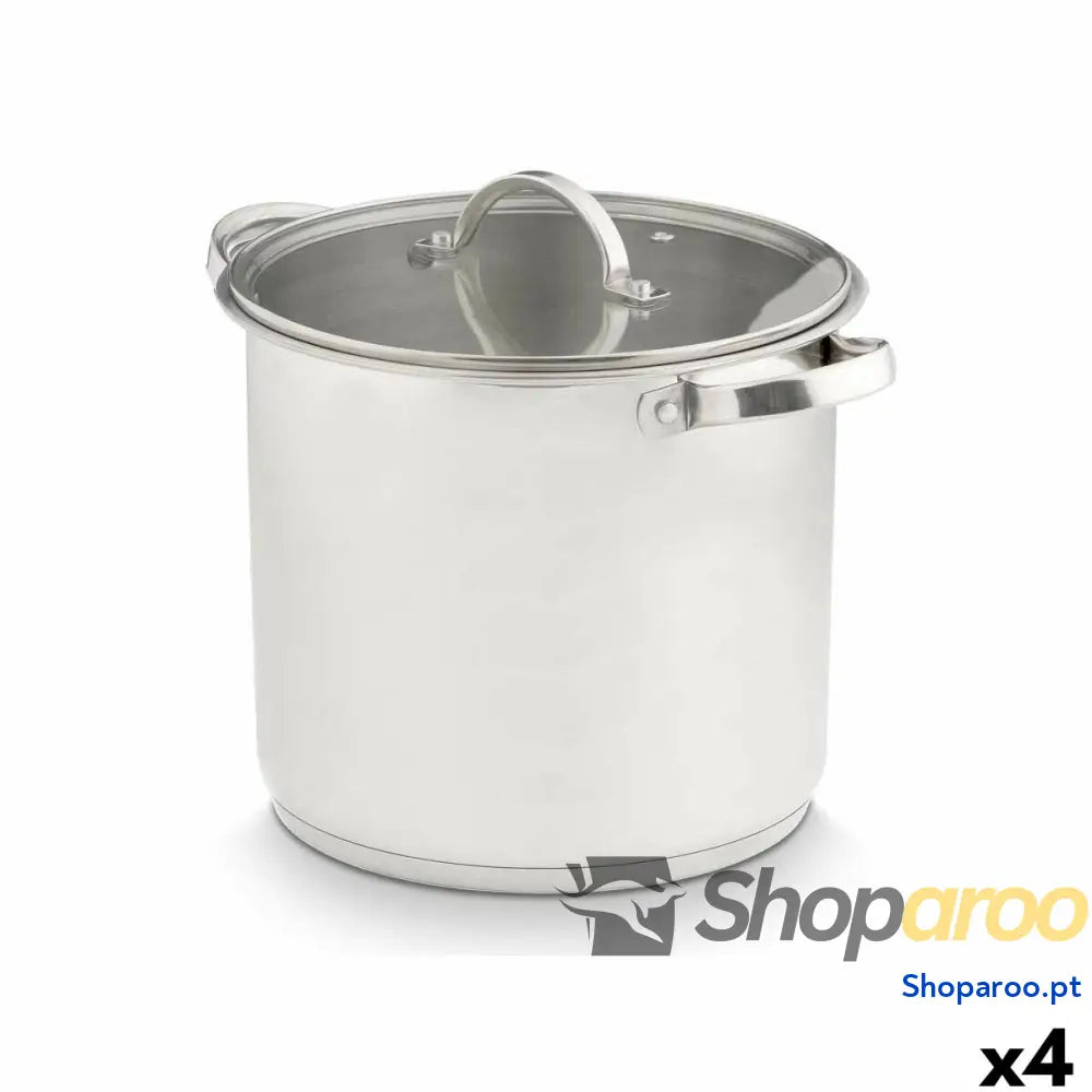 Caçarola com Tampa de Vidro Kinvara 17396 Prateado 31 x 25 24 cm Indução (4 Unidades)