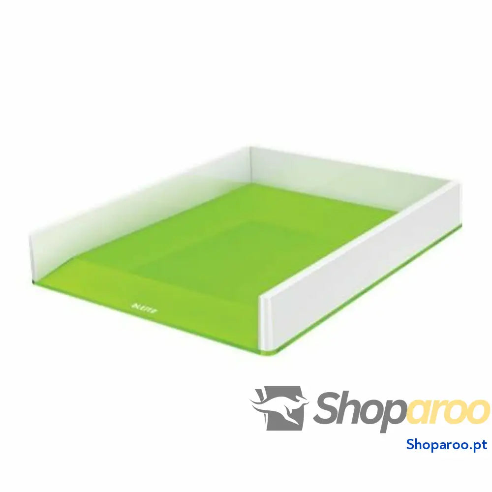 Caixa de arquivo Leitz Verde Plástico