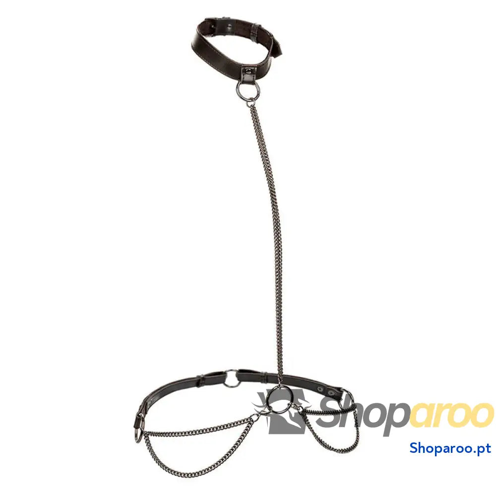 CALEXOTICS - EUPHORIA CHAIN HALTER COLEIRA E TRELA TAMANHO GRANDE