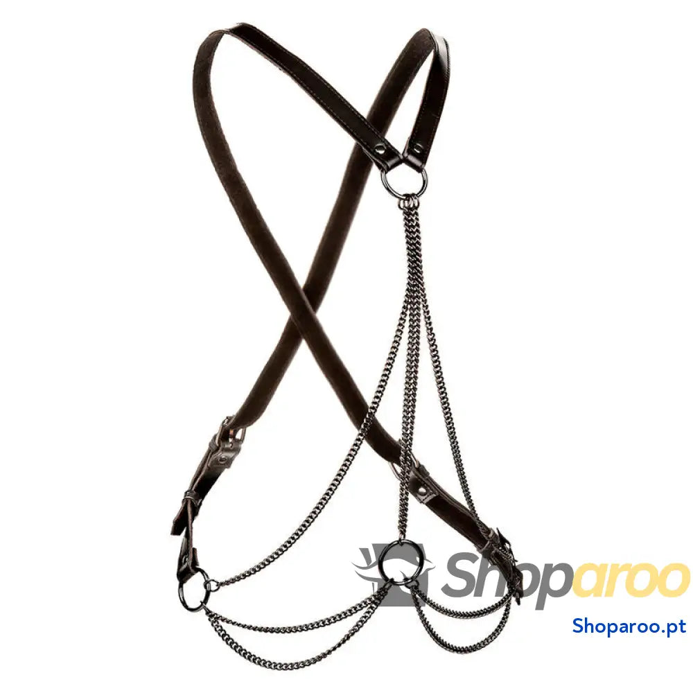 CALEXOTICS - EUPHORIA MULTICAIN ARREIO PREMIUM