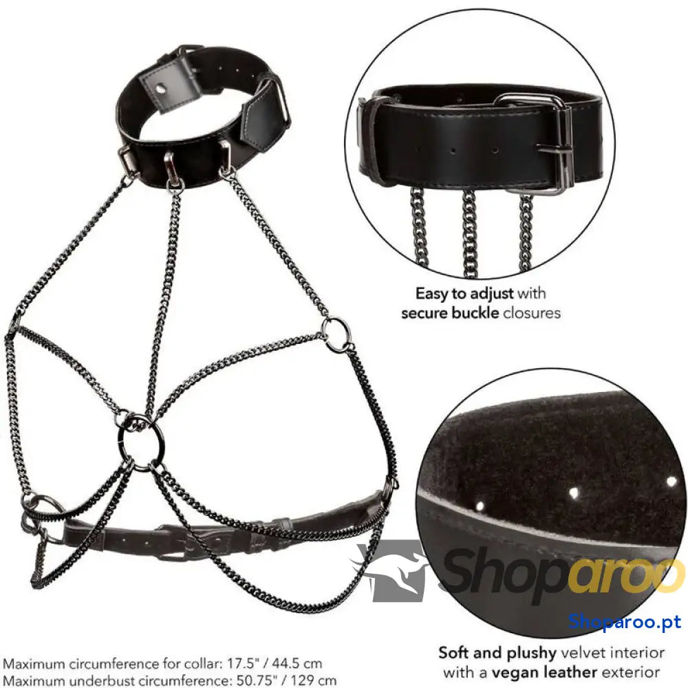 CALEXOTICS - EUPHORIA PLUS SIZE MULTI CHAIN COLLAR ARNÊS