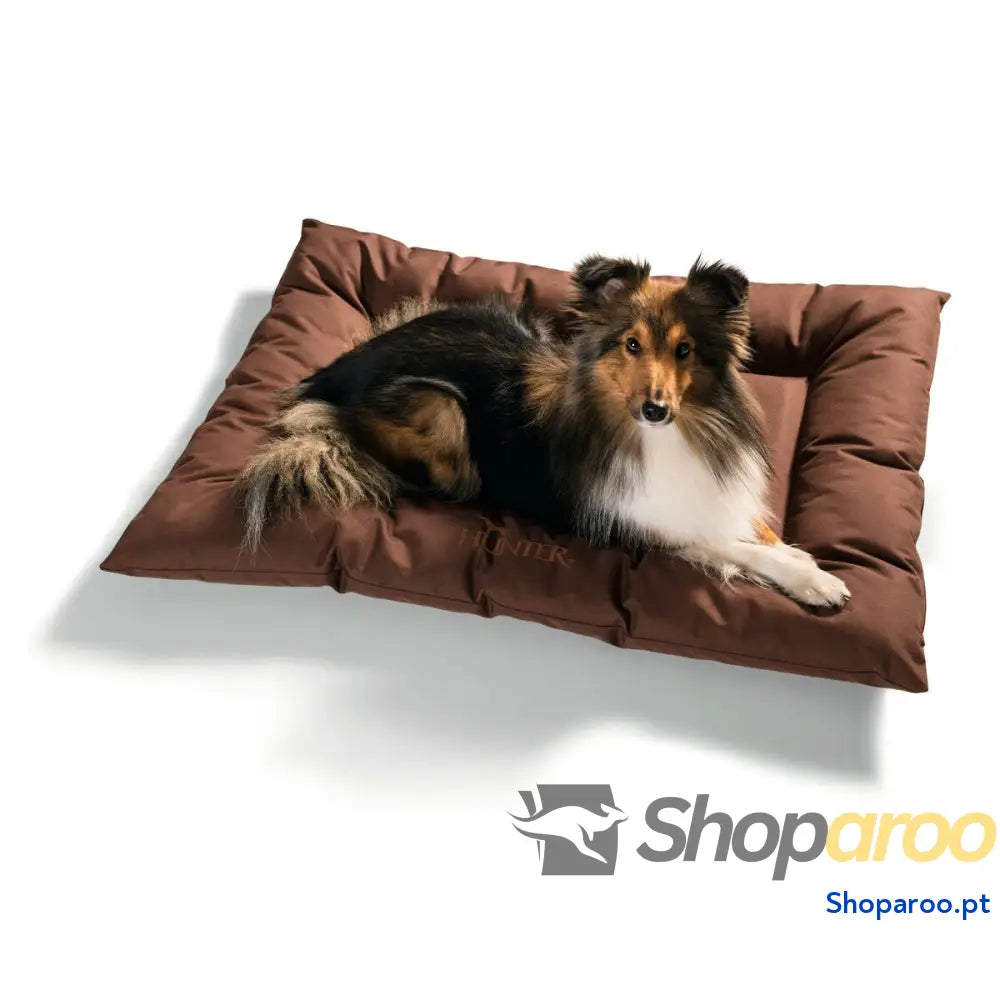 Cama para cão Hunter Gent Antibacteriano Castanho 100x70 cm
