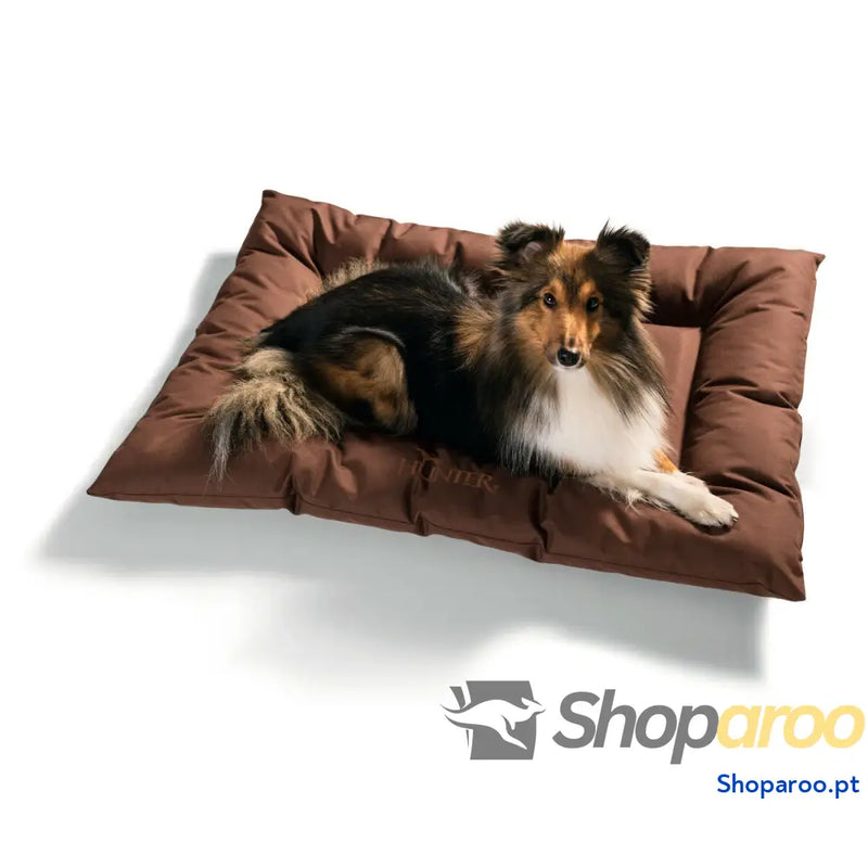 Cama para cão Hunter Gent Antibacteriano Castanho 100x70 cm