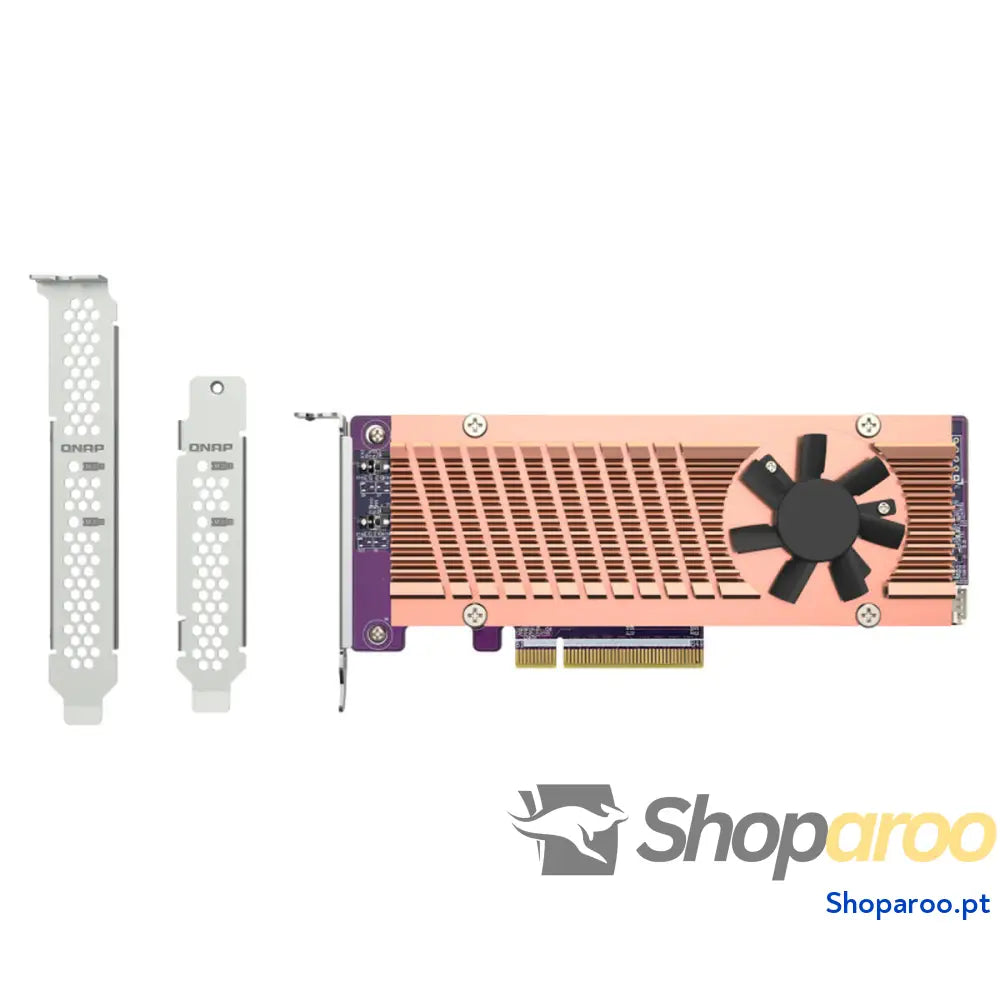 Carta de Rede Qnap QM2-2P-384A