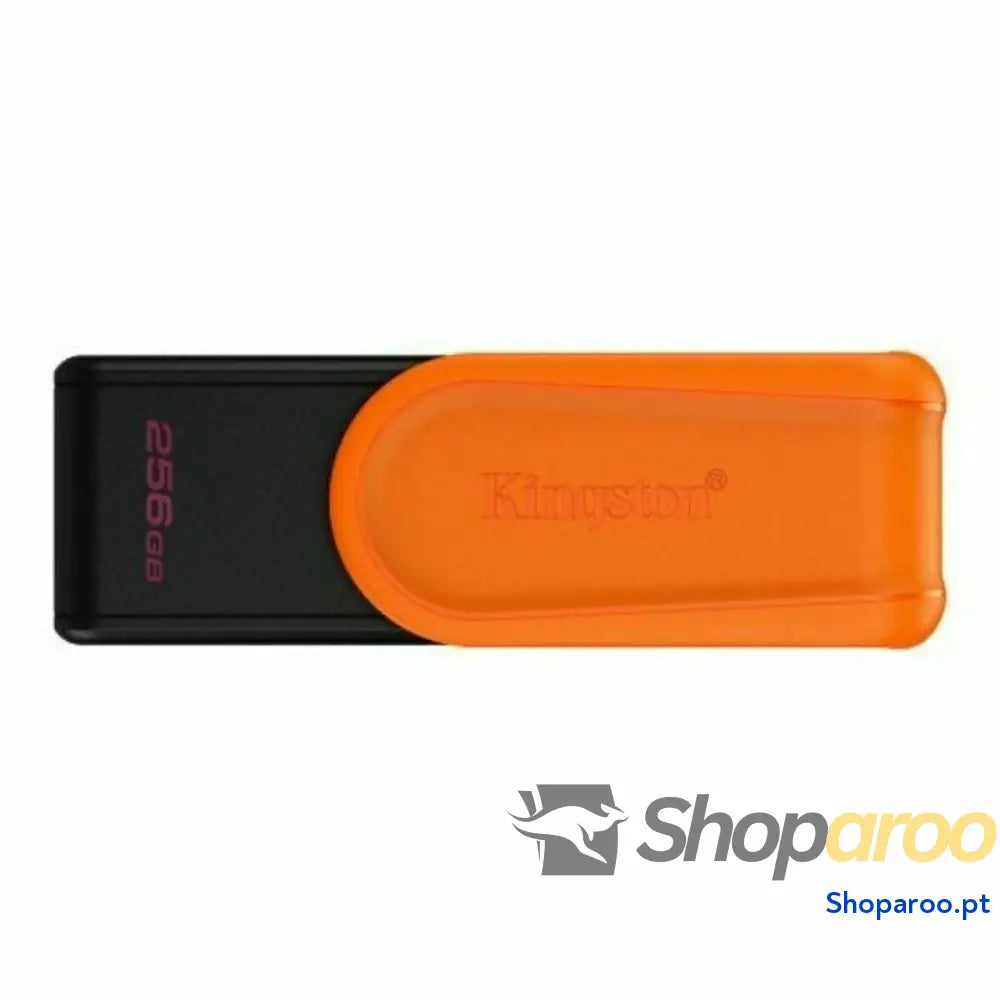 Cartão de Memória Micro SD com Adaptador Kingston DTXS/256GB 256 GB