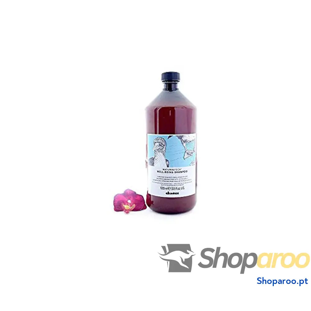 Champô Hidratante Davines Well-Being 1 L