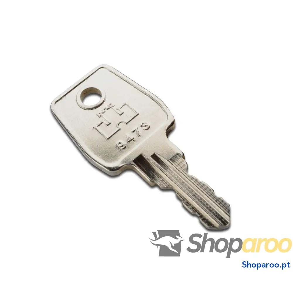 Chave para Armário Digitus by Assmann DN-19-KEY-9473