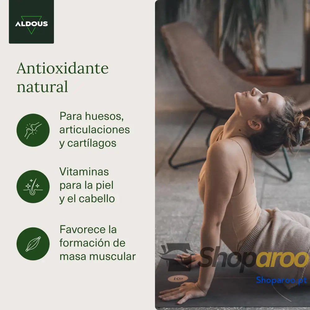 Colágeno Hidrolisado Puro + Ácido Hialurônico + Coenzima Q10 + Vitaminas e B12 + Zinco 120 dias Dose Máxima Fórmula
