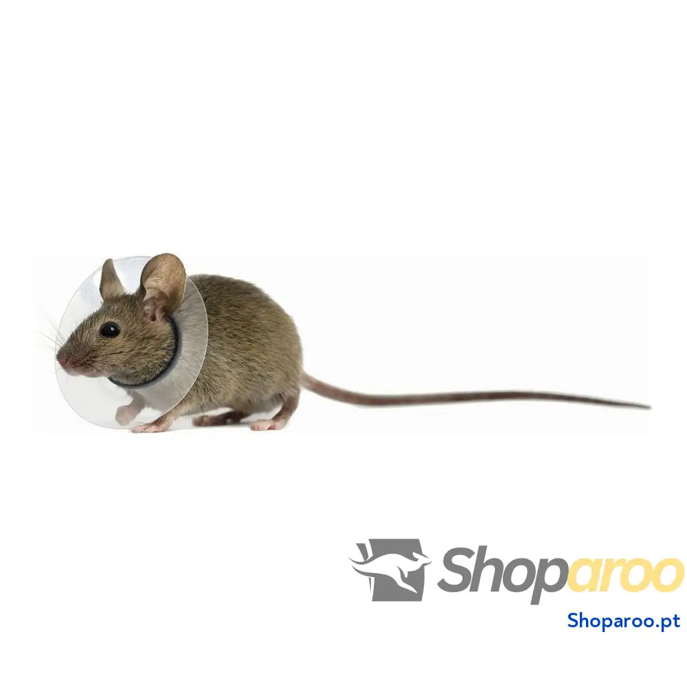 Coleira isabelina para roedores KVP Transparente 7.5-10 cm