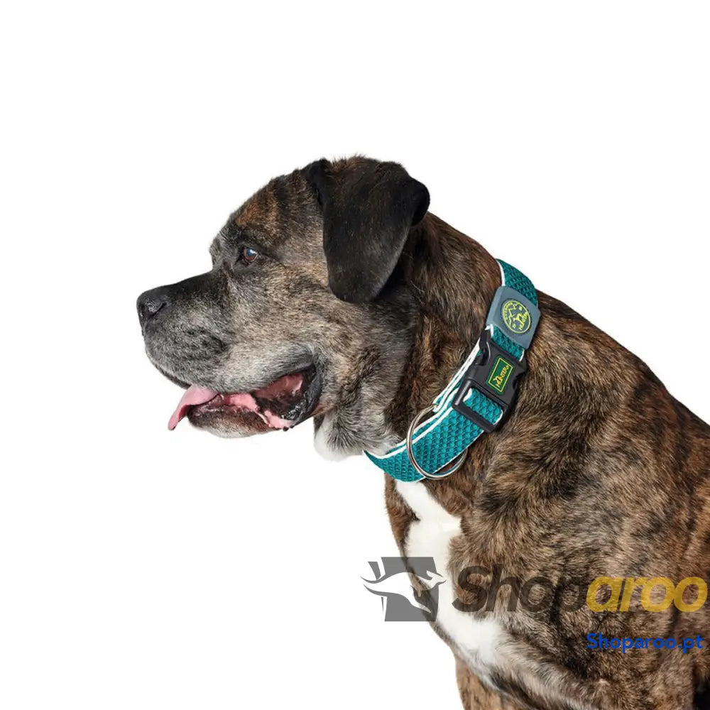Coleira para Cães Hunter Plus Fio turquoise Turquesa Tamanho XL (45-70 cm)