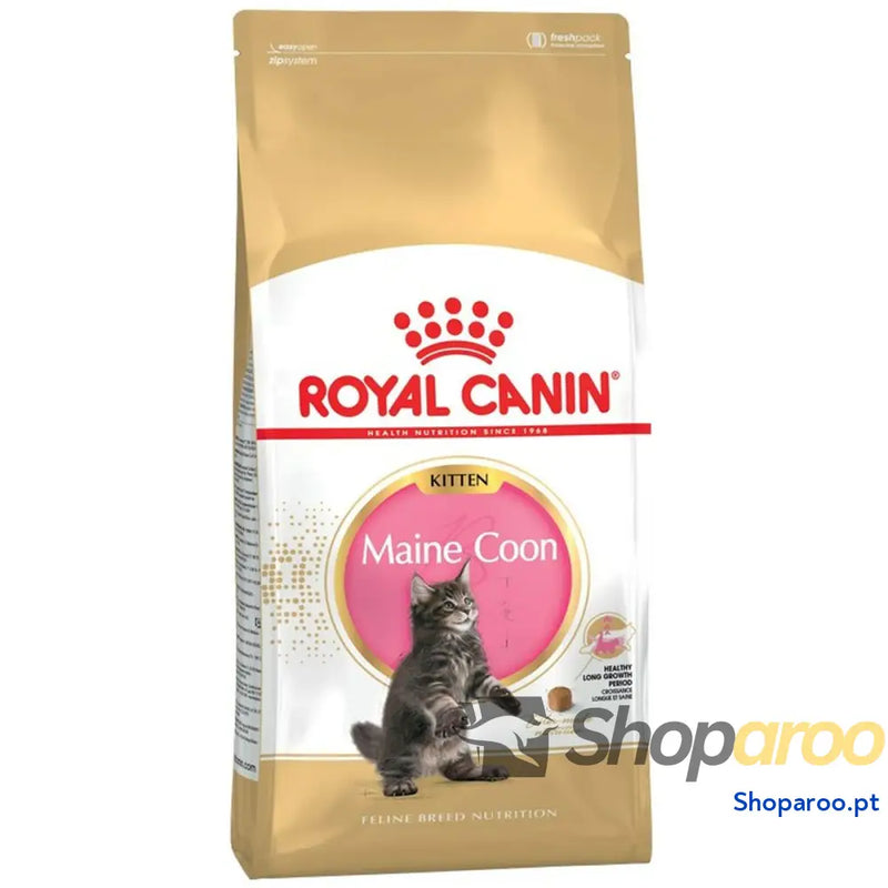 Comida para gato Royal Canin Maine Coon Kitten Arroz Pássaros 2 Kg