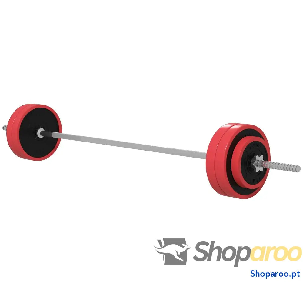Conjunto de Barra Pesos 30 kg com Discos para Musculação