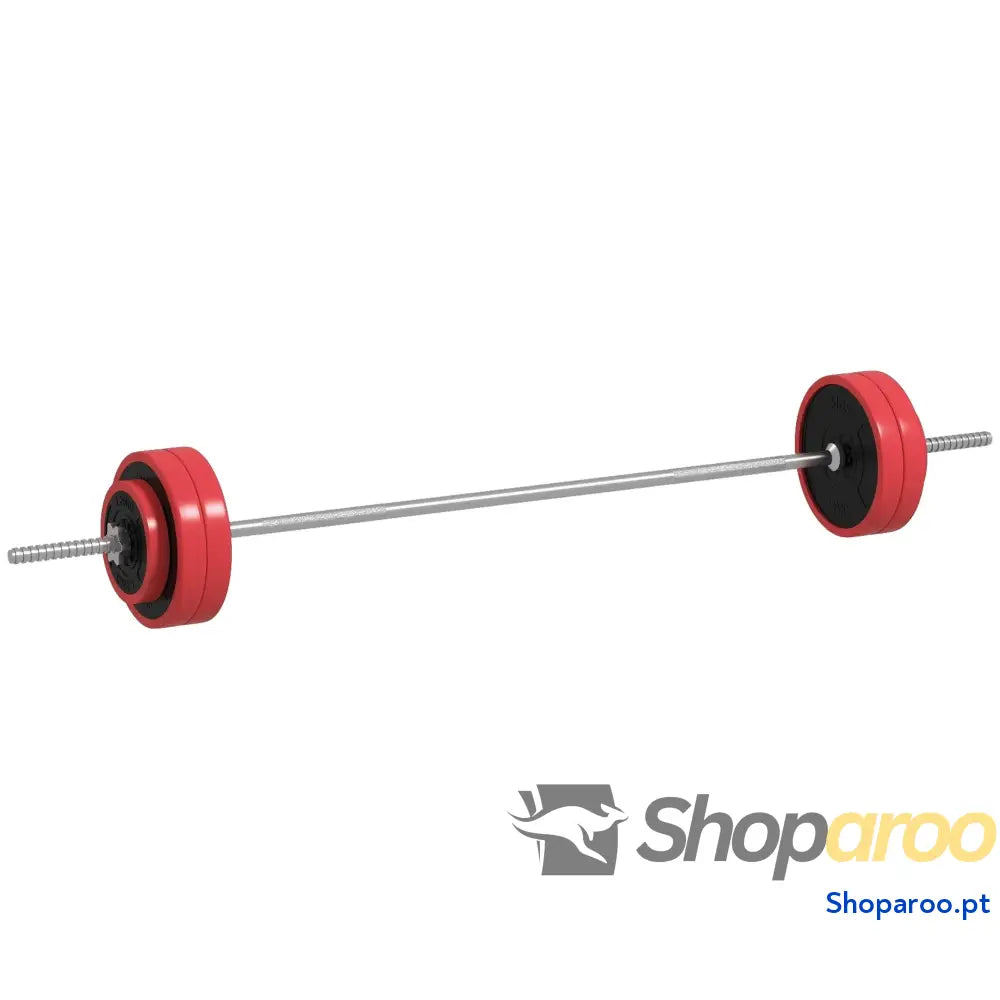 Conjunto de Barra Pesos 30 kg com Discos para Musculação
