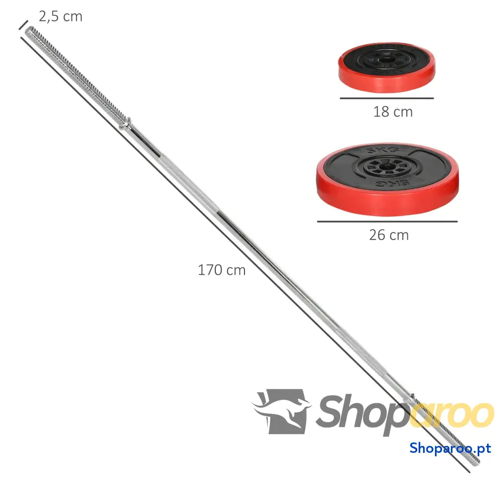 Conjunto de Barra Pesos 30 kg com Discos para Musculação