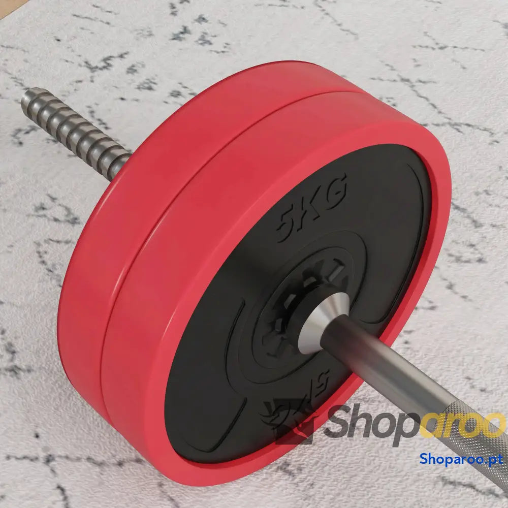 Conjunto de Barra Pesos 30 kg com Discos para Musculação
