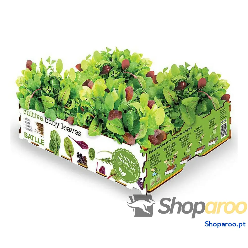 Conjunto de Cultivo Batlle Baby Leaves Saladas 40 x 29 x 10,5 cm 2,6 Kg