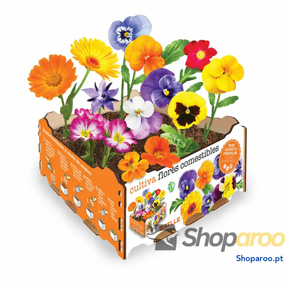 Conjunto de Cultivo Batlle Bloemen Comestível 19 x 19 x 10 cm