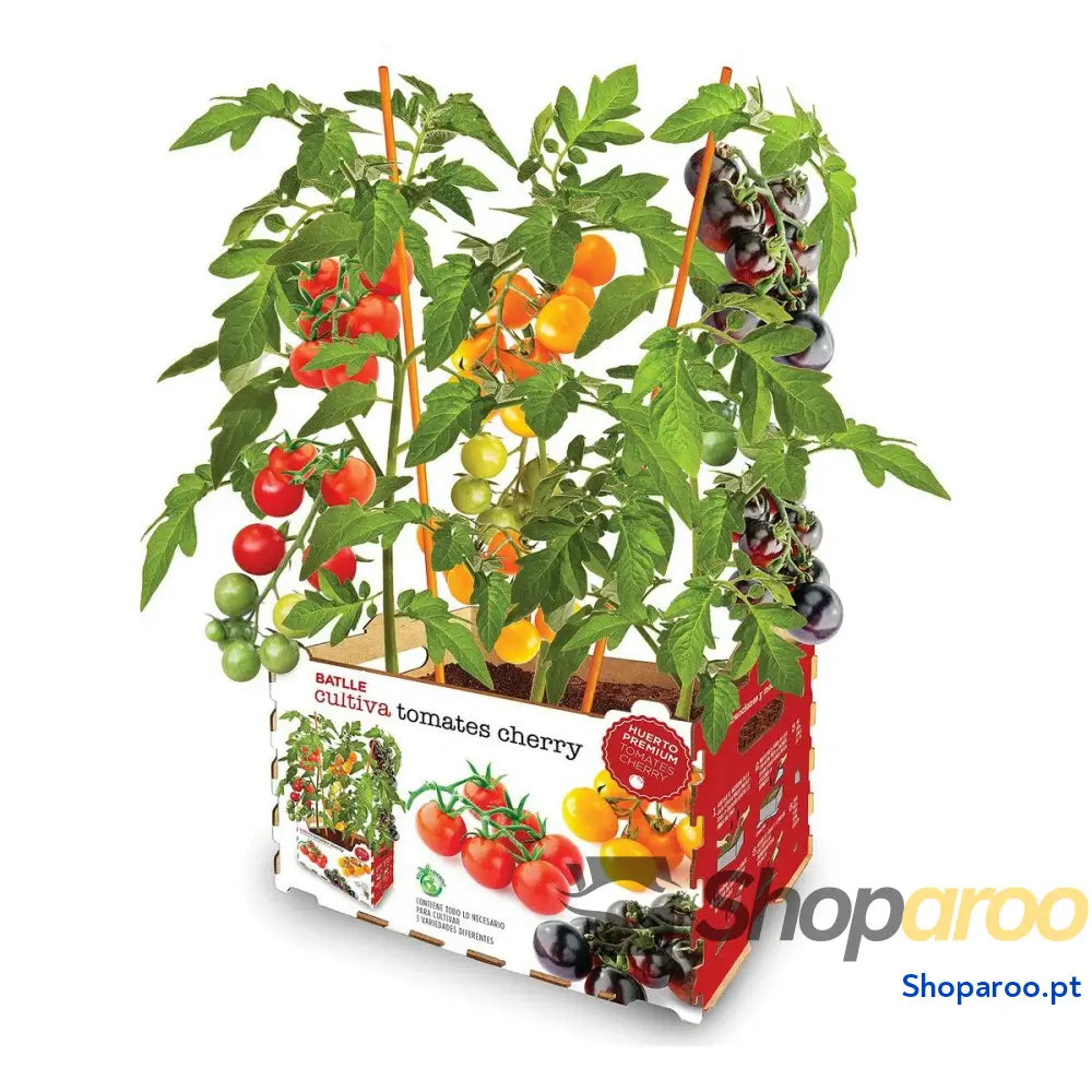 Conjunto de Cultivo Batlle Tomates naturais 30 x 19,5 x 16,2 cm