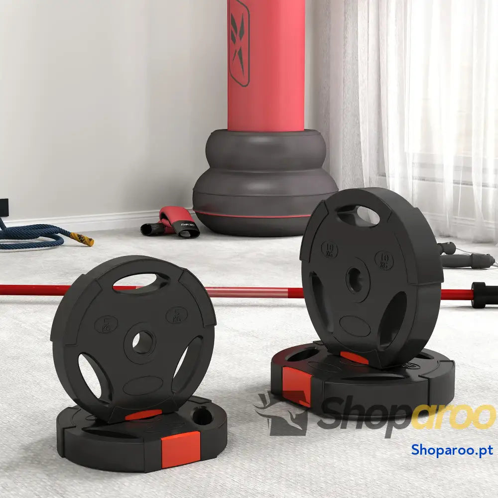 Conjunto de Discos Pesos 4 Peças 2x10 kg e 2x5 com Orifícios 2,5 cm Preto