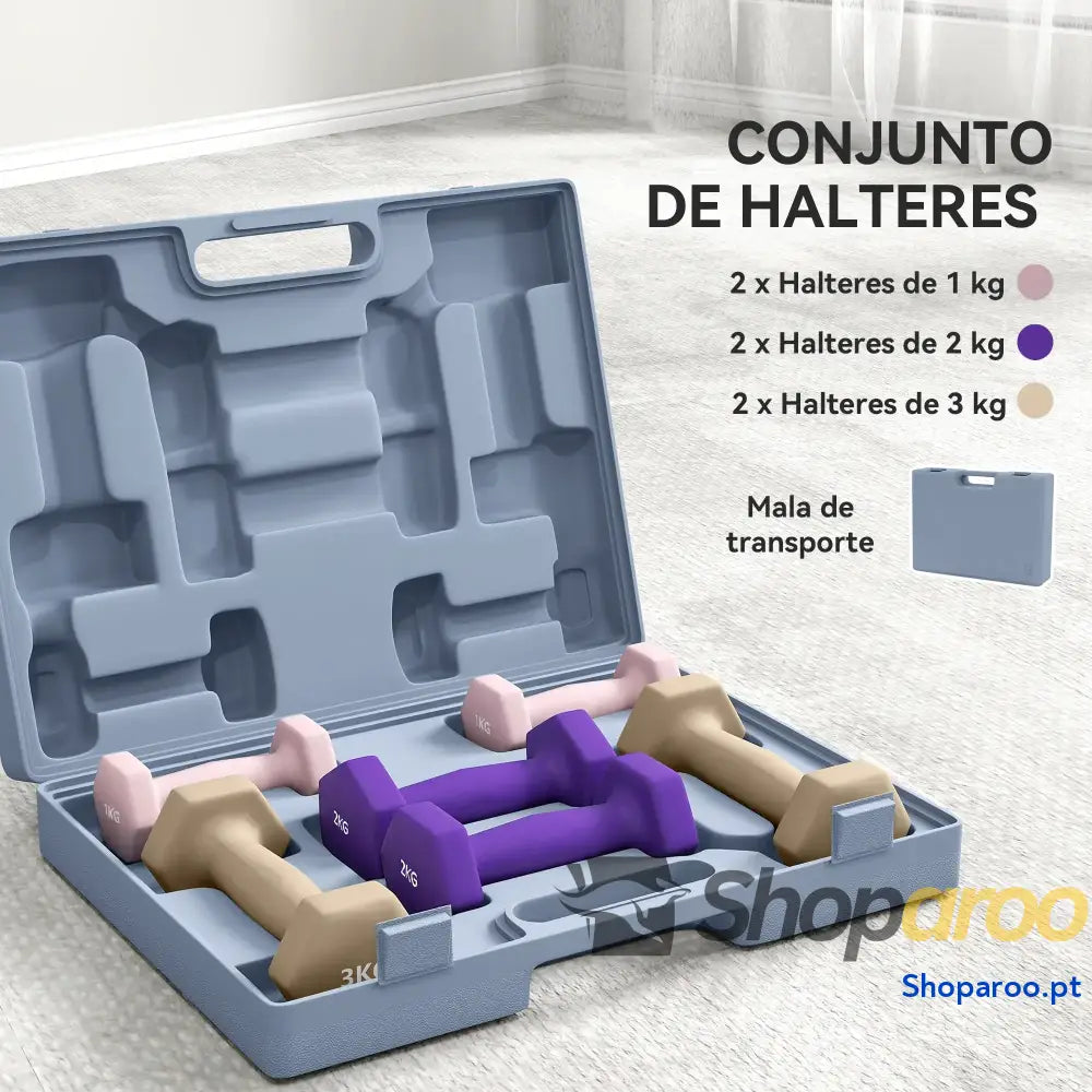 Conjunto de Halteres Hexagonais 6 Peças Multicolor Antiderrapante