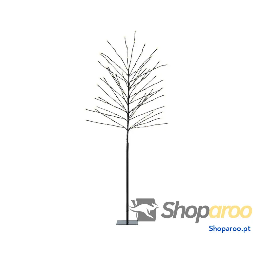 Conjunto de pintura Lumineo Exterior