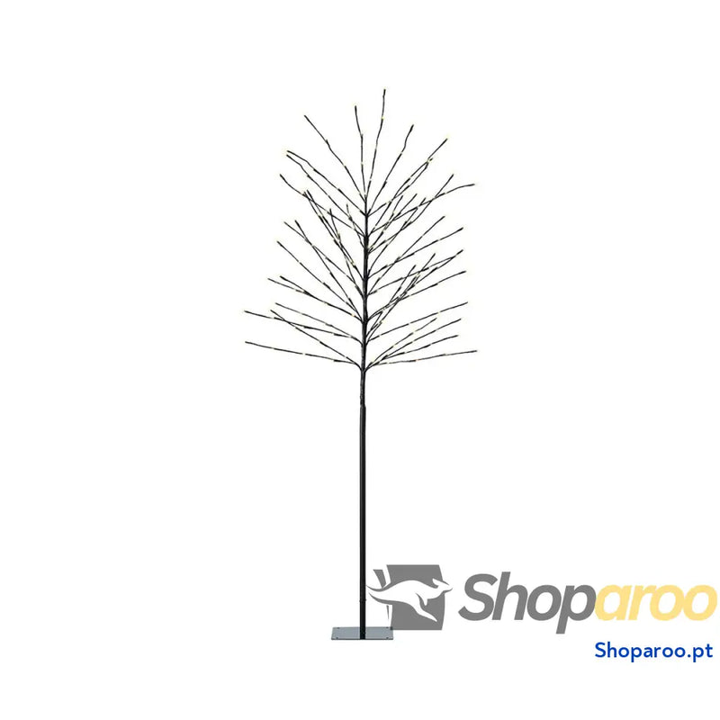 Conjunto de pintura Lumineo Exterior