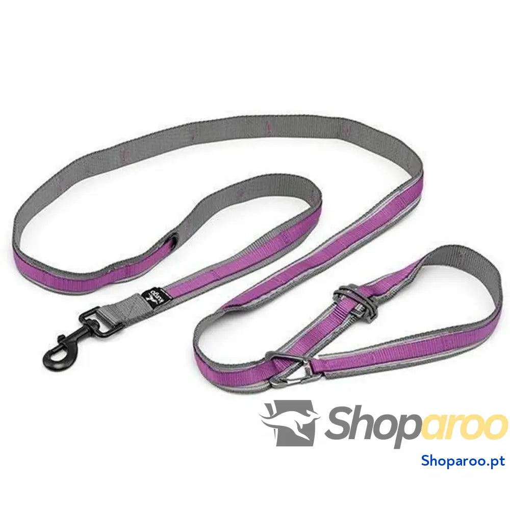 Correia Kurgo Quantum Violeta Violet Nylon