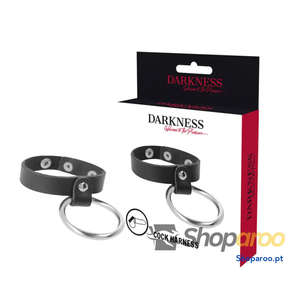 DARKNESS - ANEL DE METAL PARA PÊNIS E TESTÍCULOS