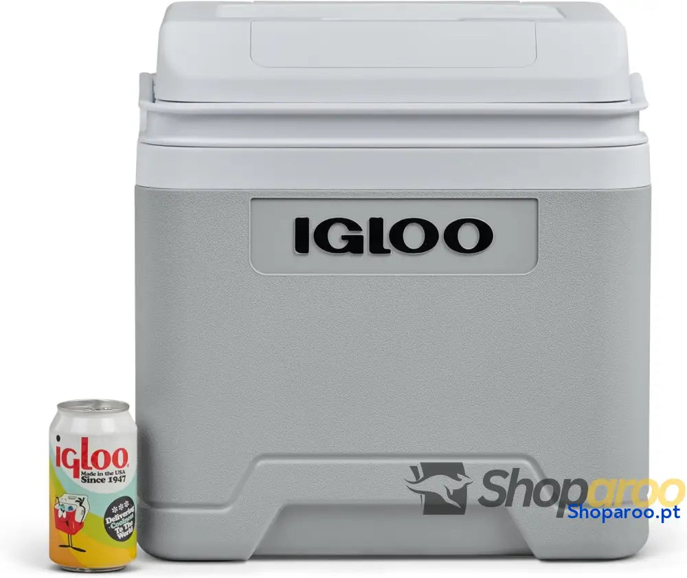 IGLOO IE24 AC/DC frigorífico elétrico 24 litros mini com conexão de 12/230 V para carro barco e lazer cinzento