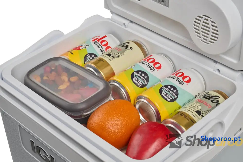 IGLOO IE24 AC/DC frigorífico elétrico 24 litros mini com conexão de 12/230 V para carro barco e lazer cinzento
