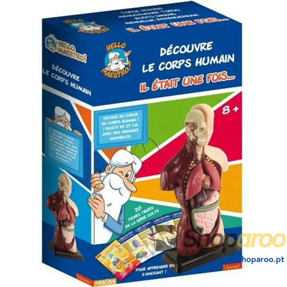 Jogo de Ciência Educa HELLO MAESTRO Bust Anatomy (FR)