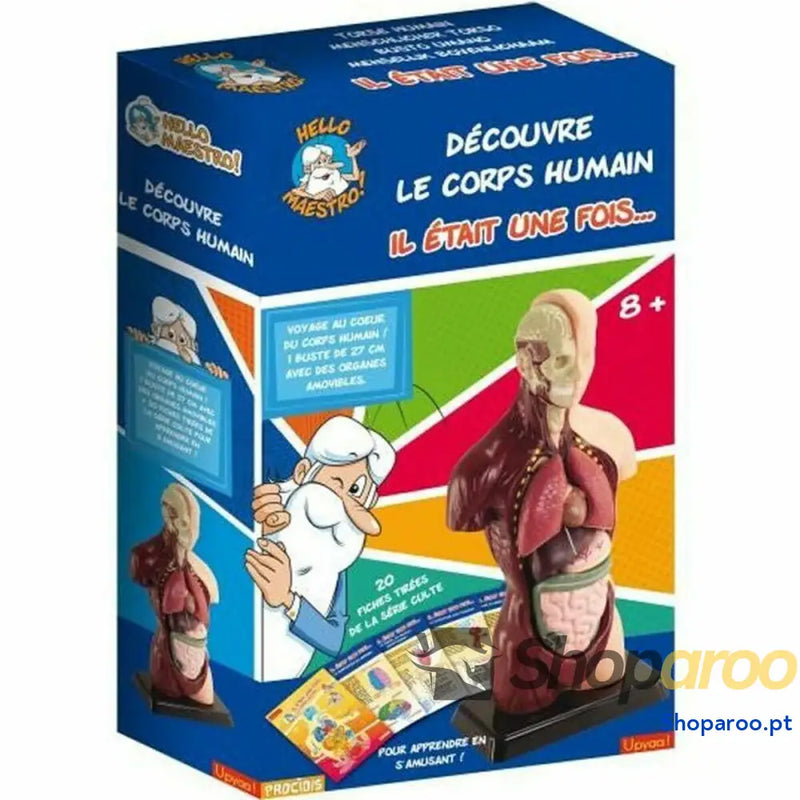 Jogo de Ciência Educa HELLO MAESTRO Bust Anatomy (FR)