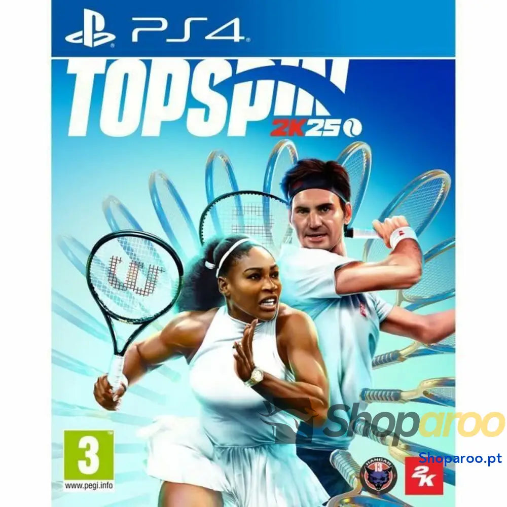 Jogo eletrónico PlayStation 4 2K GAMES Top Spin 2K25 (FR)