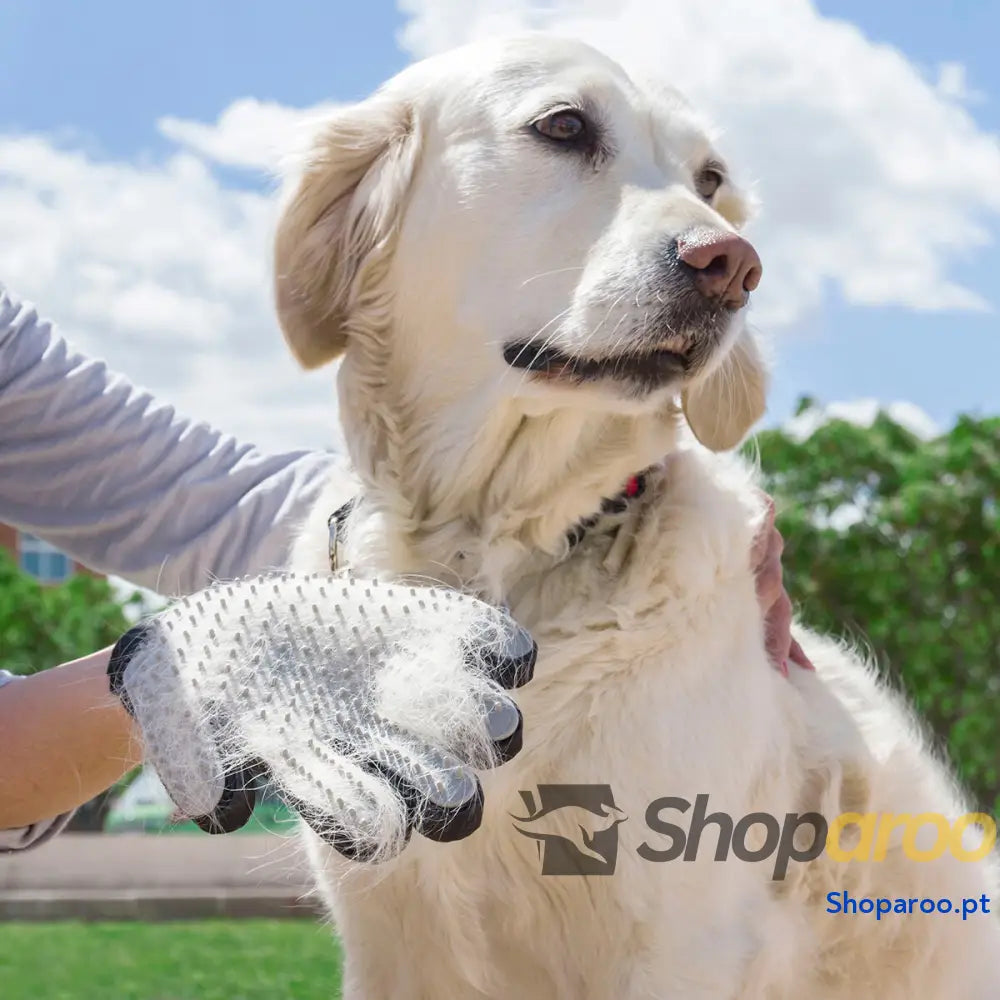 Luva para Escovar e Massajar Animais de Estimação Relpet InnovaGoods