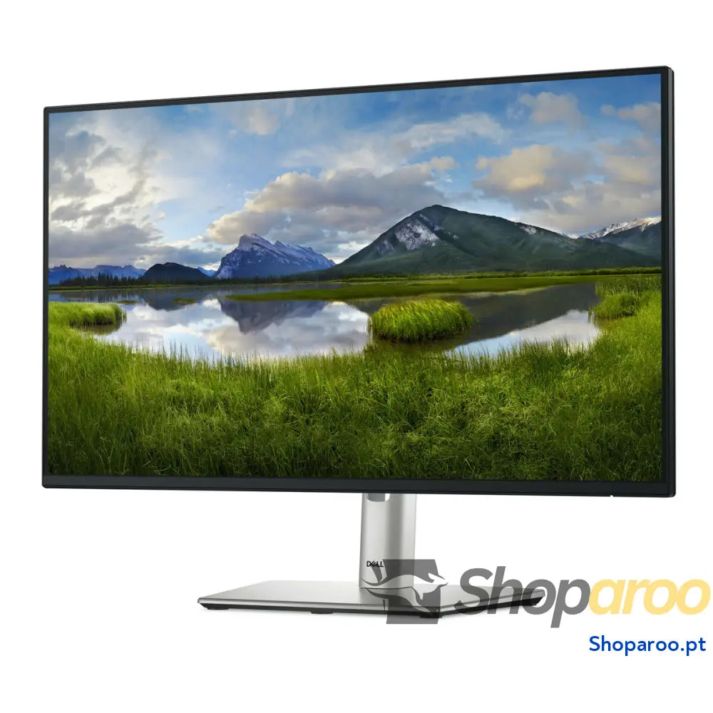 Monitor Dell P2425H 23,8" Full HD 100 Hz