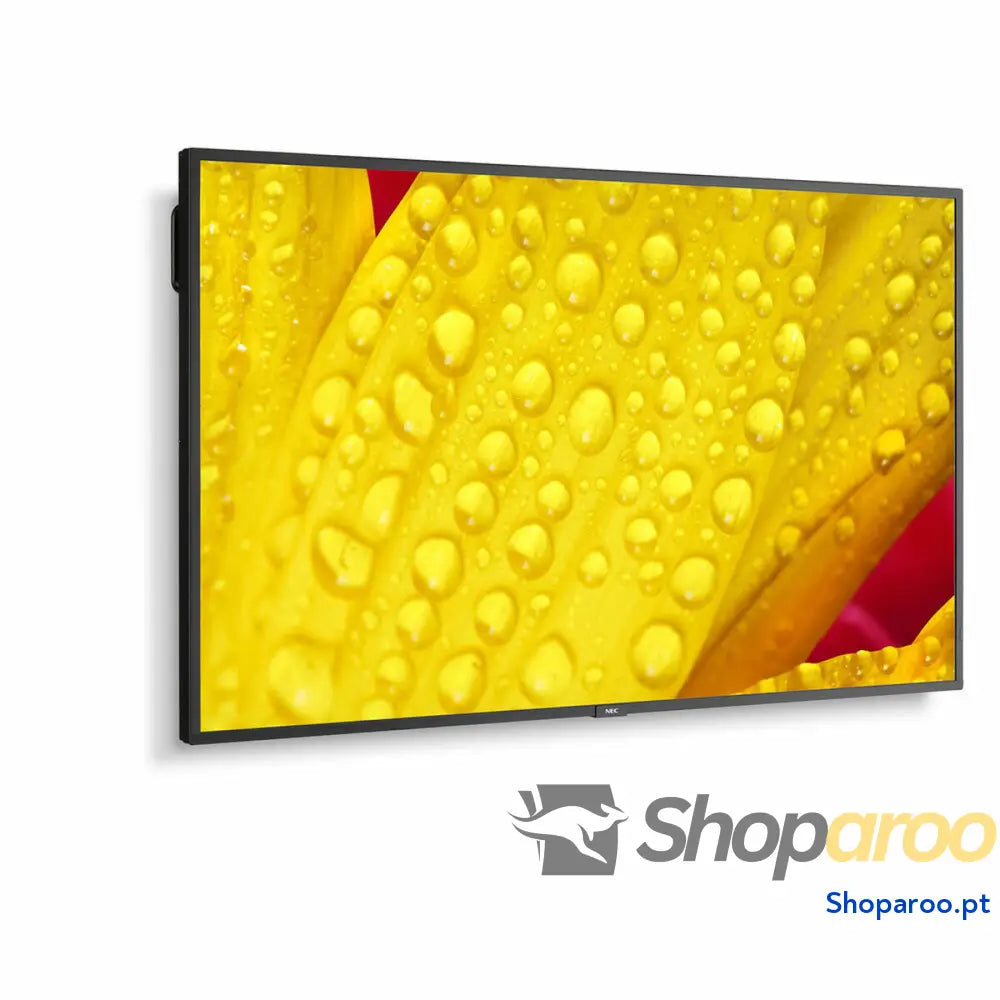 Monitor NEC 60005048 43" 4K Ultra HD LED 43" IPS 50-60  Hz