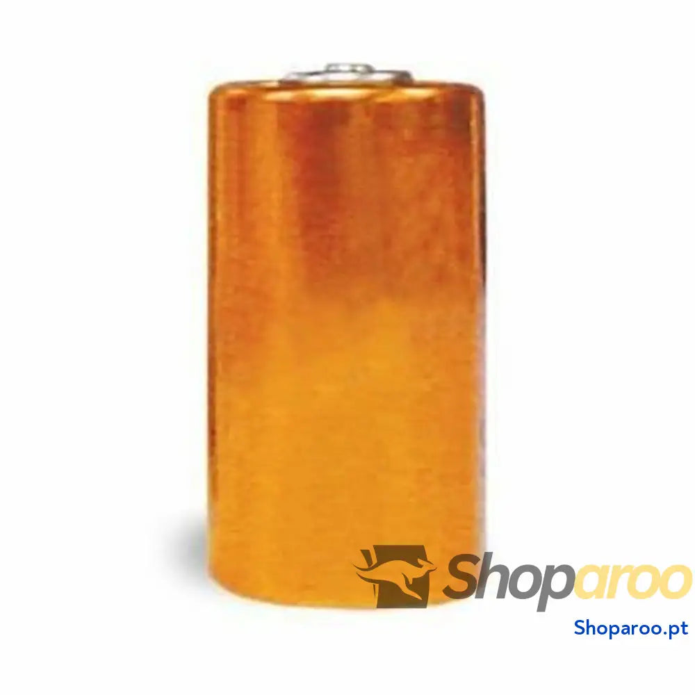 Pilha Alcalina PetSafe 6 V No
