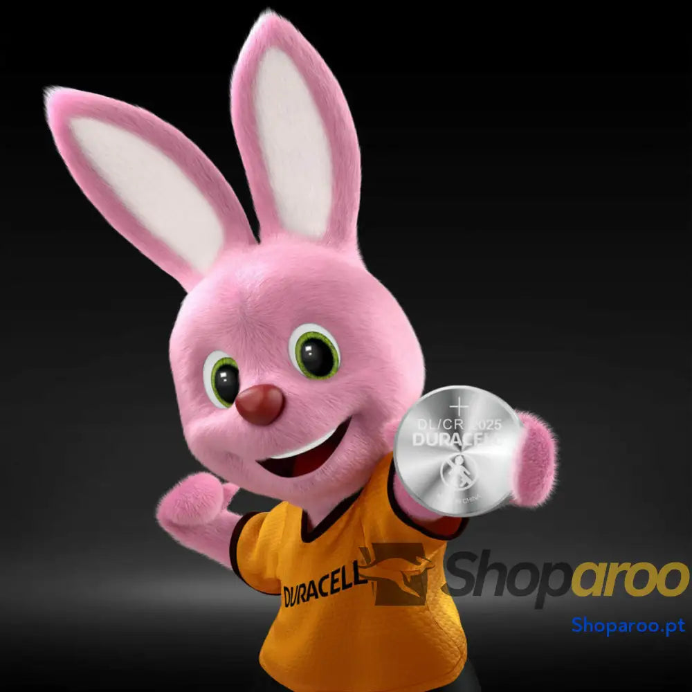Pilhas DURACELL 3V (10 Unidades)