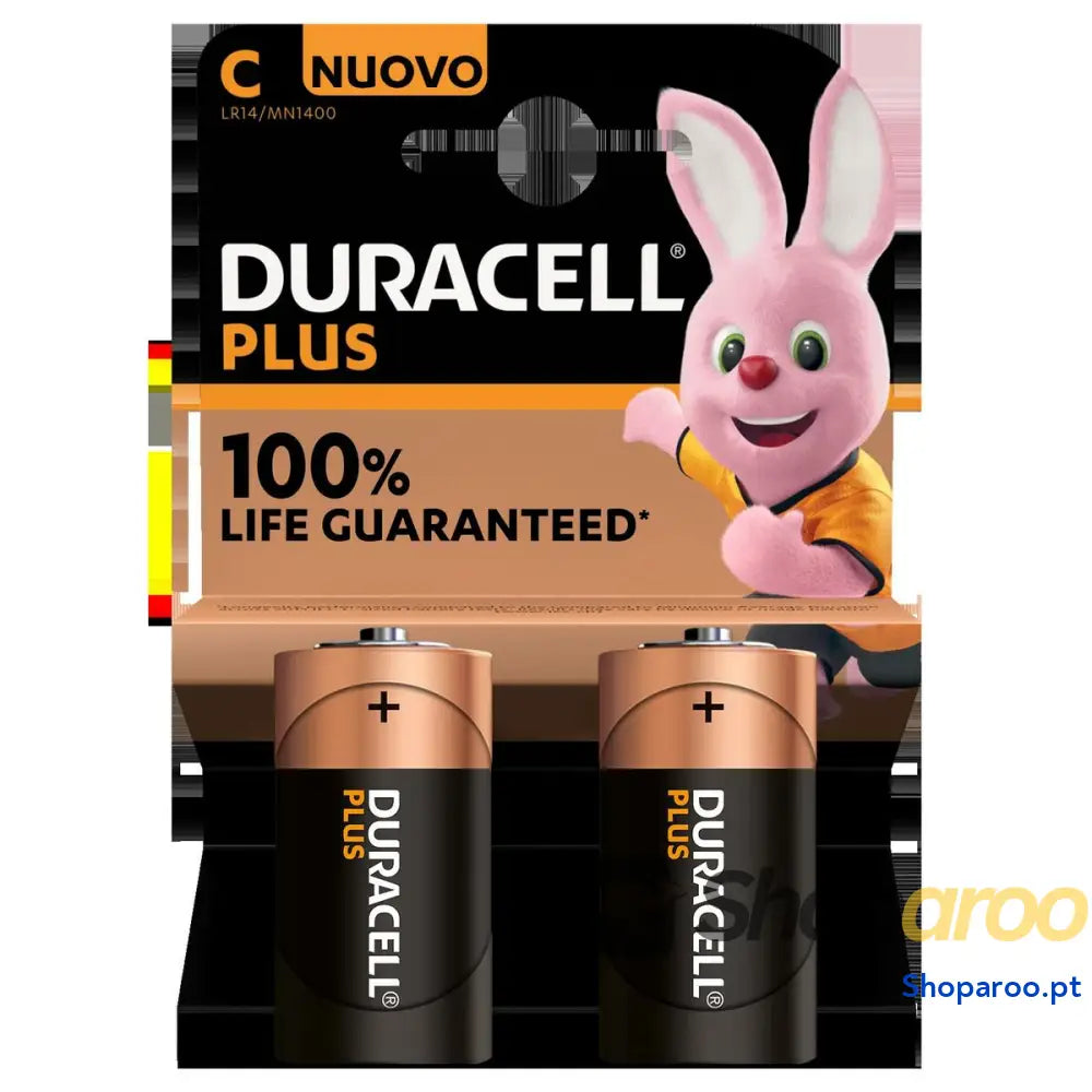Pilhas DURACELL LR14 K2