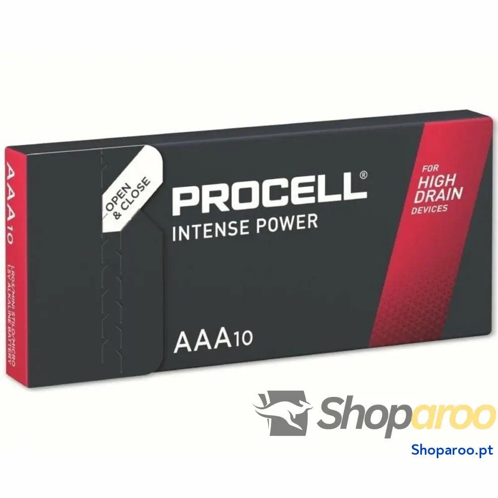 Pilhas Recarregáveis DURACELL DURINTLR3C10