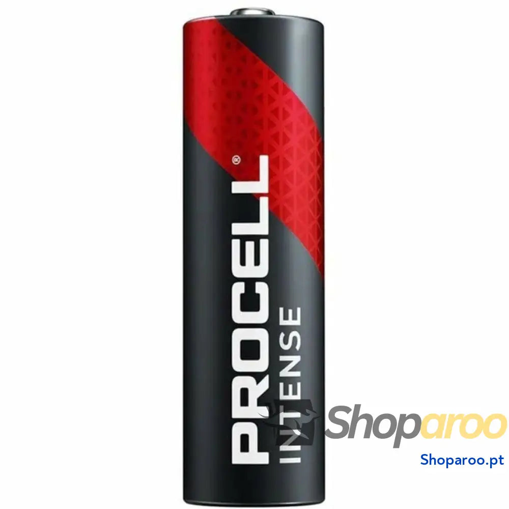Pilhas Recarregáveis DURACELL DURINTLR6C10