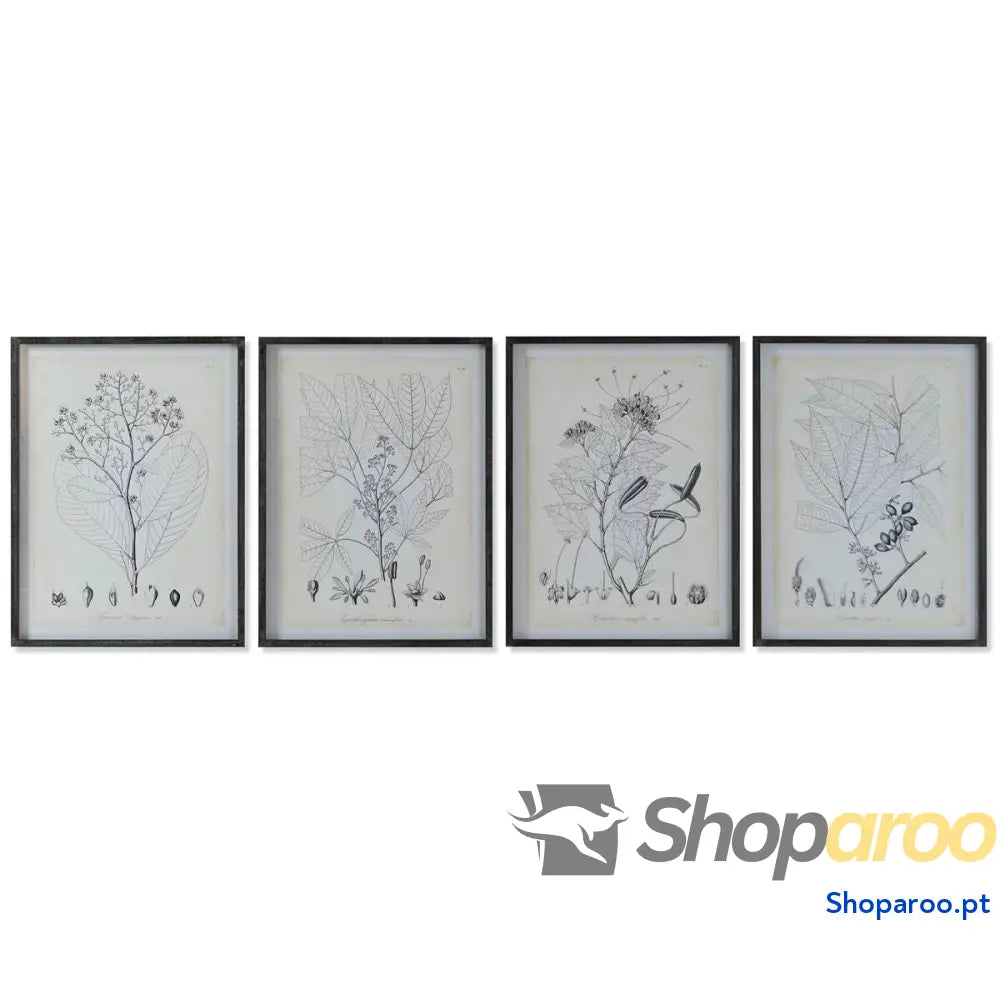 Pintura DKD Home Decor Moderno Plantas botânicas 45 x 2,5 60 cm (4 Unidades)