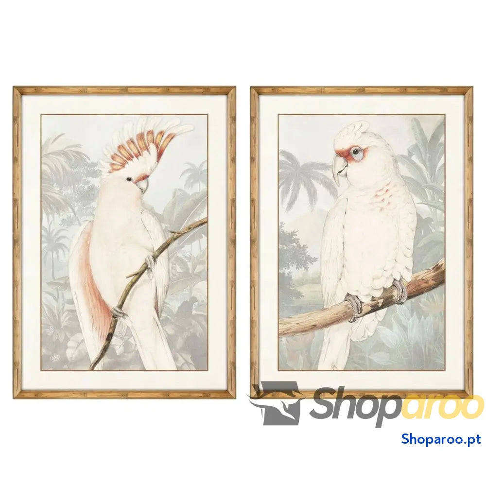 Pintura DKD Home Decor Papagaio Tropical 50 x 3 70 cm (2 Unidades)