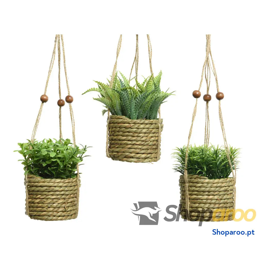 Planta Decorativa Everlands 8 x 12 cm Colar Corda Verde PVC