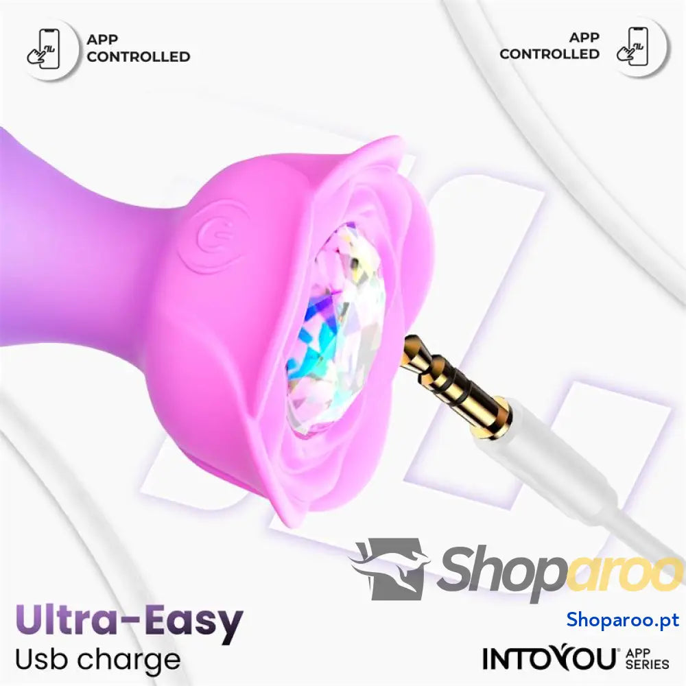 Plug Anal con Rotación 360º App