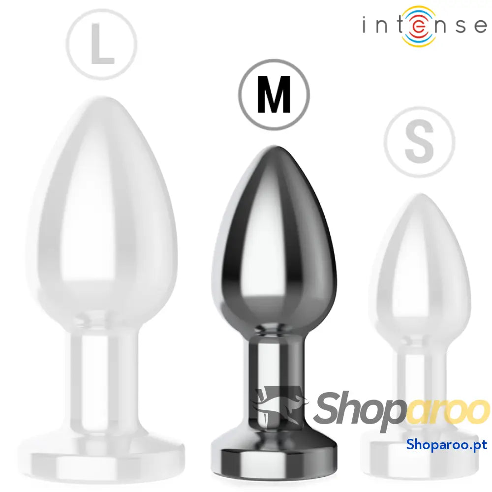 PLUG ANAL VIBRATÓRIO 10 VIBRAÇÕES METAL COM CONTROLE REMOTO M
