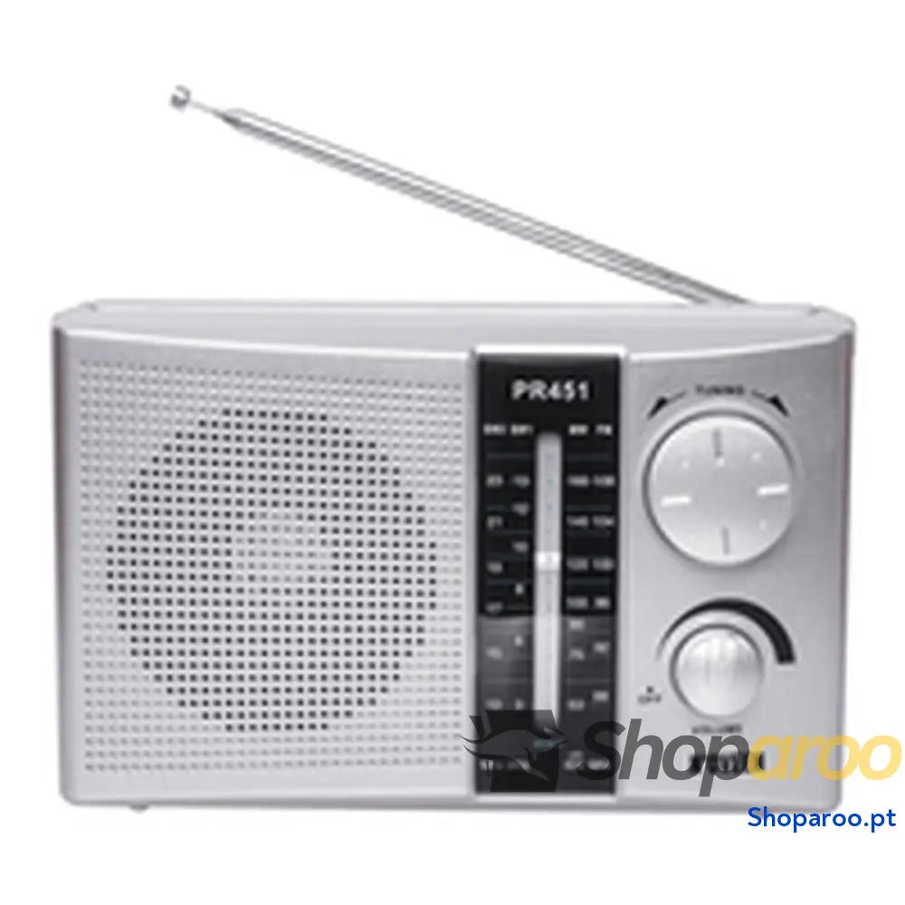 Rádio ELBE PR451