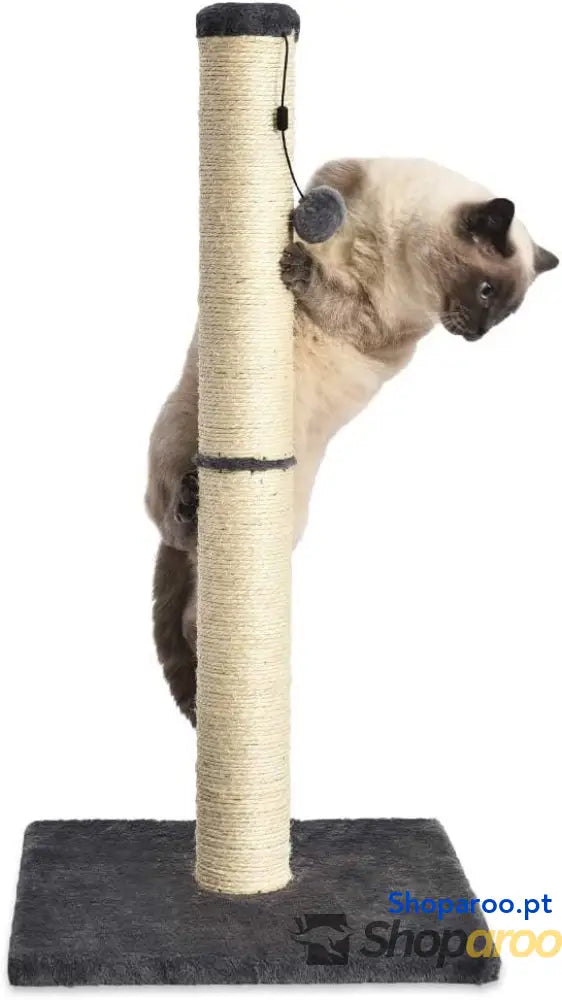 Raspador para gatos de interior padrão com brinquedo pendurado 80 cm cinzento