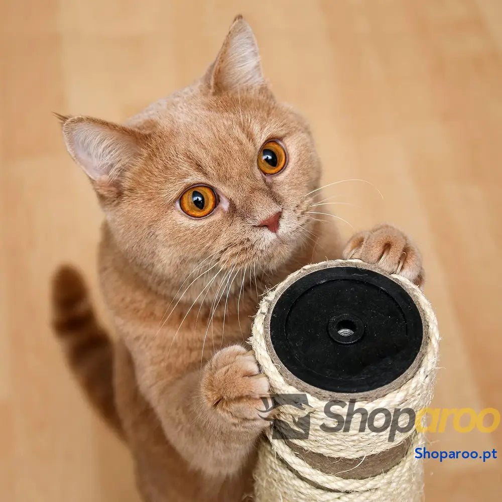 Raspador poste para gatos com bola branco e azul 45 cm